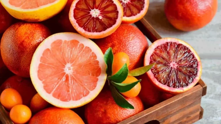 Laranja Moro Para Que Serve - Artigo completo
